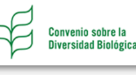 Timeline: Antecedentes CDB