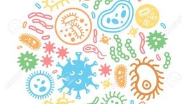Timeline: LA HISTORIA DE LA MICROBIOLOGÍA