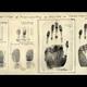 History of forensic science
