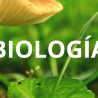 Timeline: BIOLOGIA