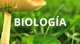 Timeline: BIOLOGIA