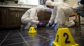 Timeline: important contributions in forensics science