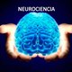 Neurociencia2 (1)