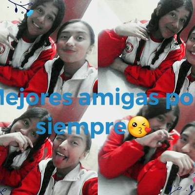 Timeline: pasos en la historia sheynna san miguel