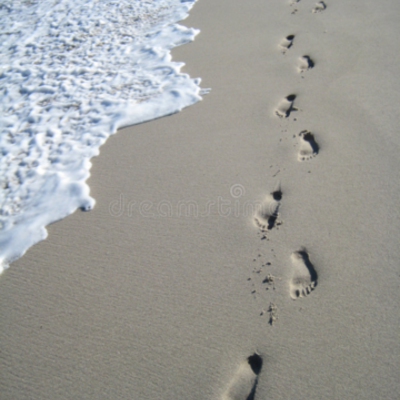 Timeline: PASOS EN LA HISTORIA