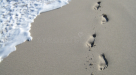 Timeline: PASOS EN LA HISTORIA