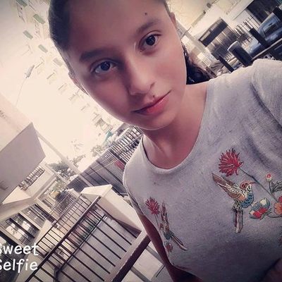 Timeline: Pasos en la historia de Sofia Martinez