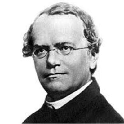 Timeline: Gregor Mendel