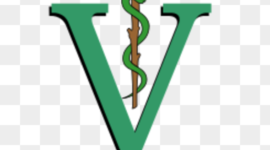 Timeline: Historia de la Medicina Veterinaria