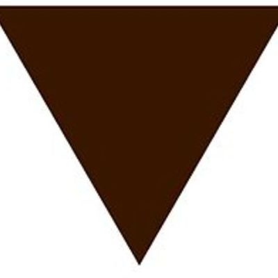 Timeline: השמדת הצוענים באירופה