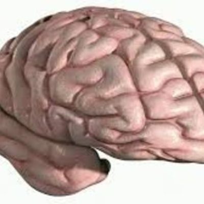 Timeline: Desarrollo hístorico de la Neuro ciencia 4