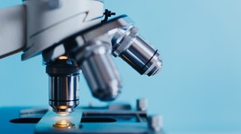 Timeline: Evolution of Bichemistry