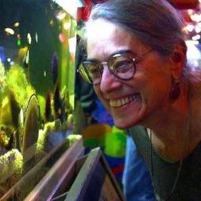 Timeline: Evelyn Fox Keller