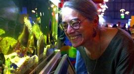 Timeline: Evelyn Fox Keller