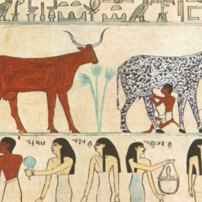 Timeline: Historia De La Medicina Veterinaria