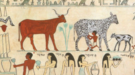 Timeline: Historia De La Medicina Veterinaria