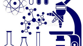 Timeline: Actividad 1