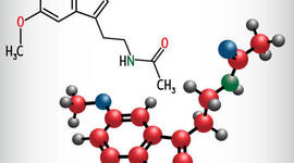 Timeline: Conocimiento sobre la hormona melatonina a lo largo de la historia