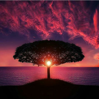 Timeline: Literaturas prehispánicas