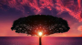 Timeline: Literaturas prehispánicas