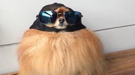 Timeline: Literaturas Orientales en la Antigüedad