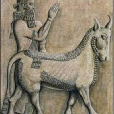 Timeline: HISTORIA DE LA MEDICINA VETERINARIA Y ZOOTECNIA