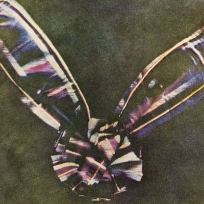 Timeline: evolución de la información gráfica