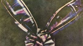 Timeline: evolución de la información gráfica