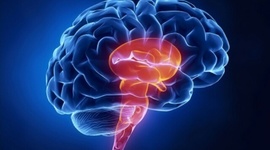 Timeline: Principales acontecimientos en la Historia de la Neuropsicología