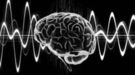 Timeline: HISTORIA DE LA NEUROCIENCIAS