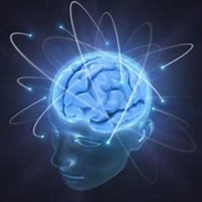 Timeline: EVOLUCION DEL CEREBRO