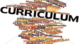 Timeline: Desarrollo Curricular