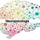 Cerebro neuropsicologia infantil 300x198