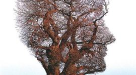 Timeline: Historia del cerebro