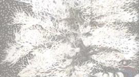 Timeline: literacy timeline