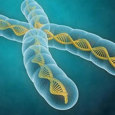 Timeline: Cronologia de la Genetica