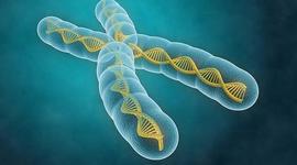 Timeline: Cronologia de la Genetica