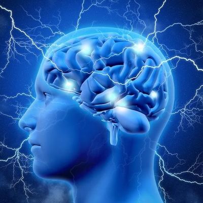 Timeline:  Neurociencias