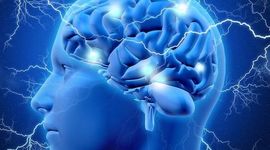 Timeline:  Neurociencias