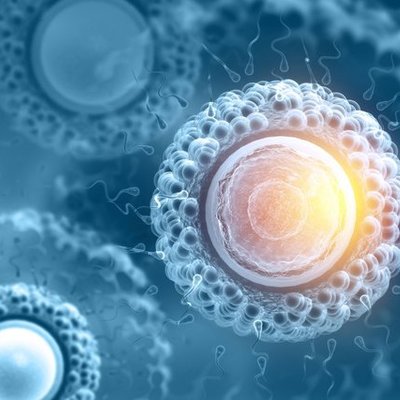 Timeline: DESCUBRIMIENTO CELULAR (BUAD)