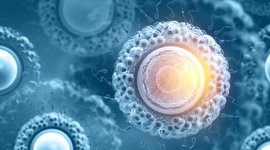 Timeline: DESCUBRIMIENTO CELULAR (BUAD)