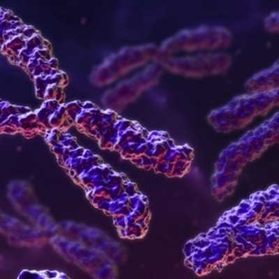 Timeline: Antecedentes Historicos de la Genética