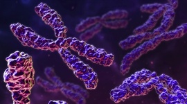 Timeline: Antecedentes Historicos de la Genética