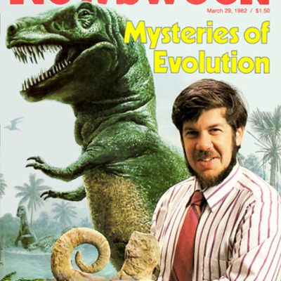 Timeline: Stephen Jay Gould: 10 September 1941 – 20 May 2002