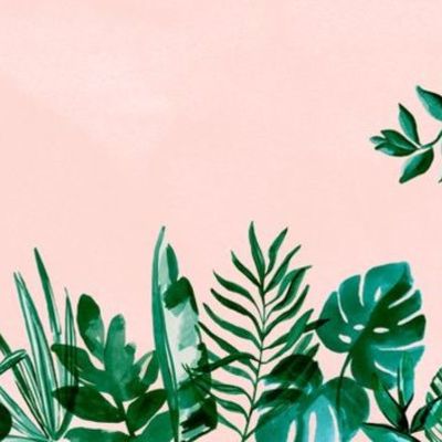 Timeline: Contabilidad Linea del Tiempo.