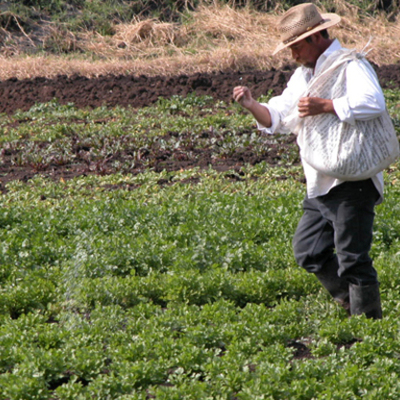 Timeline: "Antecedentes del desarrollo rural"