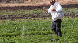 Timeline: "Antecedentes del desarrollo rural"