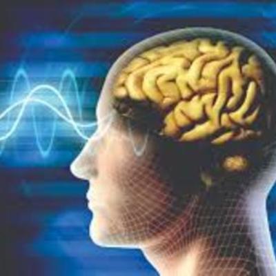 Timeline: Historia Neurociencia