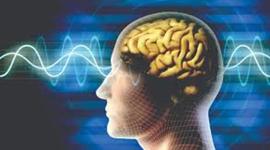 Timeline: Historia Neurociencia