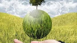 Timeline: Antecedentes del desarrollo rural